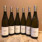2024 Tramin, Gewurztraminer Selida - Alto Adige DOC - 6, Nieuw