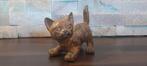 Pierre Chenet (XX-XXI) - sculptuur, Le Chat Joueur - 7.8 cm