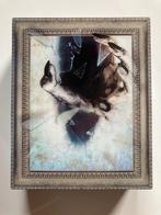 BLUMHOUSE HORROR COLLECTION (IMPORT WITHOUT DUTCH SUBS), Cd's en Dvd's, Blu-ray, Verzenden, Gebruikt