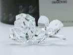 Figuur - Swarovski Crystal - Roos (Boxed + Certificate) -, Antiek en Kunst, Curiosa en Brocante