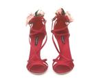 Een paar rode Dolce en Gabbana pumps met rozen, Kleding | Dames, Schoenen, Pumps, Dolce en Gabbana, Gedragen, Rood