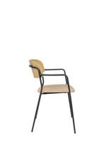 Eetkamerstoel - Roos - Zwart/Polywood - House of Rebels, Huis en Inrichting, Stoelen, Verzenden, Nieuw