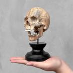 Snijwerk, NO RESERVE PRICE - Stunning Wooden Human Skull