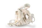 Steve Madden Handtassen in maat standaard Beige | 10%, Verzenden, Zo goed als nieuw, Beige