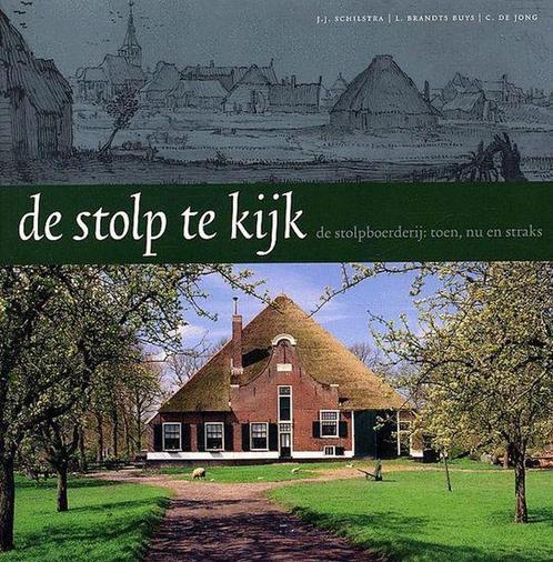 De Stolp Te Kijk 9789071123788 J.J. Schilstra, Boeken, Overige Boeken, Gelezen, Verzenden