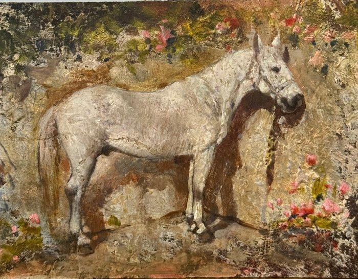 Scuola Toscana (XIX) - Cavallo, Antiek en Kunst, Kunst | Schilderijen | Klassiek