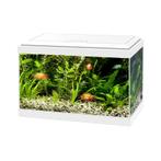 Ciano Aqua 20 LED | 17L | 40 x 20 x 26CM Wit Aquarium, Nieuw, Ophalen of Verzenden