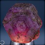 Natuurlijke trapiche-padparadscha-saffier – Zeldzaam ruwe