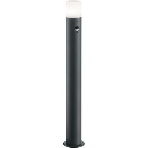 LED Tuinverlichting met Bewegingssensor - Staand Buitenlamp, Tuin en Terras, Buitenverlichting, Staande lamp, Nieuw, Led, IJzer