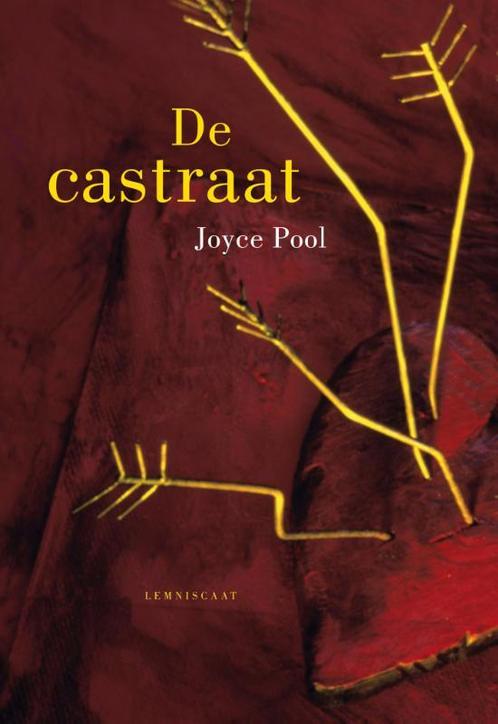 De castraat 9789047705345 Joyce Pool, Boeken, Kinderboeken | Jeugd | 13 jaar en ouder, Zo goed als nieuw, Verzenden