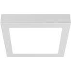 LED Downlight Opbouwspot - LED Paneel Slim - Brinton Thin -, Ophalen of Verzenden, Nieuw, Minder dan 50 watt, Lamp met armatuur