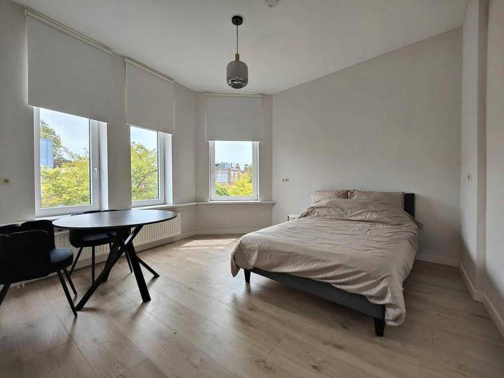 Eigen Kamer aan Claes de Vrieselaan, Rotterdam, Huizen en Kamers, Kamers te huur, 50 m² of meer, Rotterdam