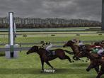 G1 Jockey Wii 2008 (wii nieuw), Ophalen of Verzenden, Nieuw