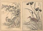 Originele houtsnede illustraties (2) - Papier - Vogel -