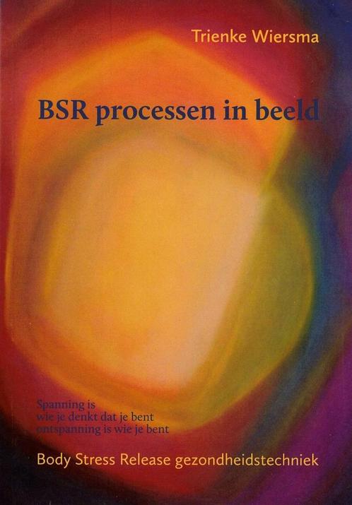 BSR processen in beeld 9789462031432 Trienke Wiersma, Boeken, Psychologie, Gelezen, Verzenden