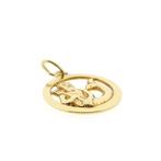 Gouden sterrenbeeld hanger; Waterman (Alle Gouden sieraden), Ophalen of Verzenden, Gebruikt, Goud, Overige merken