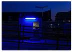 Roberto Cavalli - A blue vague recollection, Around Texas /, Antiek en Kunst