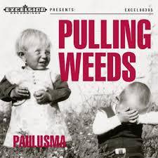 cd - Paulusma - Pulling Weeds, Cd's en Dvd's, Cd's | Overige Cd's, Zo goed als nieuw, Verzenden
