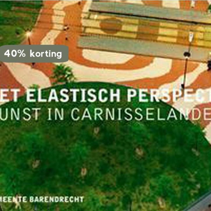 Het Elastisch Perspectief 9789077794104 Peter Nijenhuis, Boeken, Kunst en Cultuur | Beeldend, Zo goed als nieuw, Verzenden