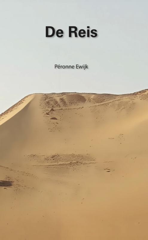 De Reis 9789492066589 Péronne Ewijk, Boeken, Esoterie en Spiritualiteit, Gelezen, Verzenden