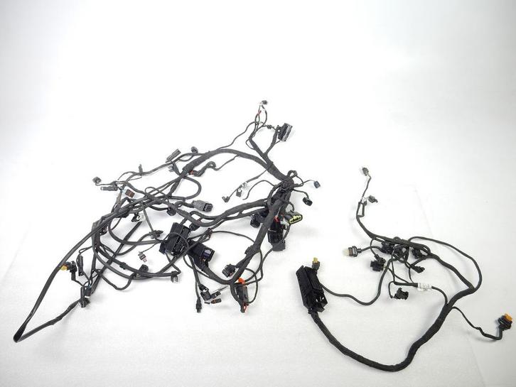 BMW F 900 XR Hoofdkabelboom voor voertuigen met Dynamic ESA, Motoren, Onderdelen | BMW, Ophalen of Verzenden