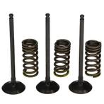 Prox Stalen Inlaatklep + veren set YZ250F 01-13 + WR250F 0, Motoren, Verzenden, Nieuw