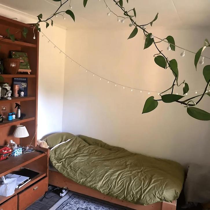 kamer in Vlijmen gevonden voor €530,- pm, Huizen en Kamers, Kamers te huur, Minder dan 20 m², Overige regio's
