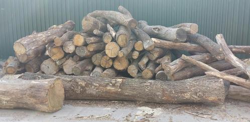 2 jr gedroogde Eikenstammen. LAATSTE STAMMEN OPRUIMING, Tuin en Terras, Haardhout, Stammen, 6 m³ of meer, Eikenhout