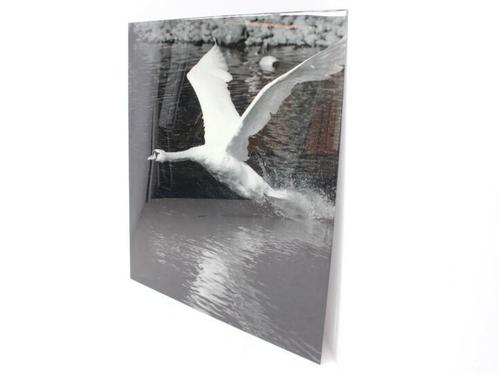 Wanddecoratie aluminium dibond plexiglas - 203x181cm (hxb), Zakelijke goederen, Kantoor en Winkelinrichting | Kantoormeubilair en Inrichting