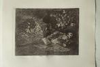 Francisco de Goya (1746-1828), after - Blatt #69 Nada. Ello, Antiek en Kunst