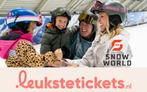 SnowWorld Avondskipas 4 uur voor maar €22,50 i.p.v. €27,50!, Tickets en Kaartjes, Recreatie | Overige, Ticket of Toegangskaart