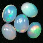 5 pcs  Edele opaal - 5.01 ct, Sieraden, Tassen en Uiterlijk, Edelstenen, Nieuw