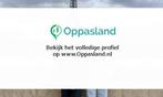 Ik ben Megan, 19 jaar oud en ik zoek oppaswerk in Oud-Bei...