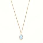 Ketting met hanger - 14 karaat Geel goud Spinel