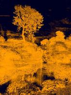 Viet Ha Tran - Echoes in Gold III (Hahnemühle Photo Rag