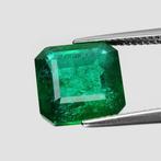 Groen Smaragd - 6.92 ct - Lotus Gemology, Sieraden, Tassen en Uiterlijk, Edelstenen, Nieuw