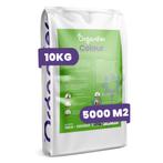 Plukbloemen mengsel – Colour – 32 soorten Snijbloemen (10 kg, Tuin en Terras, Verzenden, Gehele jaar, Volle zon, Zaad