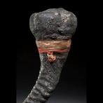 fetisj hoorn - Vaudou - Fon - Benin