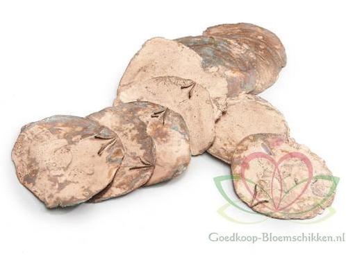 Capiz shell Camar Koper 500 gram Geverfde schelpen, Hobby en Vrije tijd, Knutselen, Nieuw, Ophalen of Verzenden