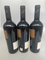 2000 Don Anselmo Paternoster - Basilicata DOC - 3 Flessen, Nieuw