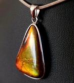 Natuurlijke ammoliethanger uit Canada – Uitzonderlijk, Antiek en Kunst