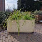 Odin S 80x22x40 cm Cream, Verzenden, Nieuw, Beton