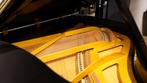 Grotrian Steinweg 189 PE messing vleugel  146192-3269, Nieuw