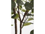 Mica Decorations Kunstplant Eucalyptusboom in Pot - H180 x, Huis en Inrichting, Kamerplanten, Verzenden