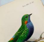 John Gerrard Keulemans / Joseph Smit / Philip Lutley Sclater