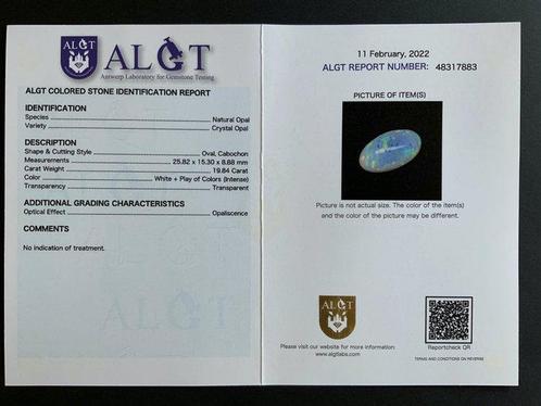 Opaal - 19.84 ct - Antwerp Laboratory for Gemstone Testing, Sieraden, Tassen en Uiterlijk, Edelstenen