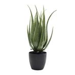 *WOONWINKEL* Kare Design Deco Plant Deco Plant Aloe Vera, Nieuw, Verzenden