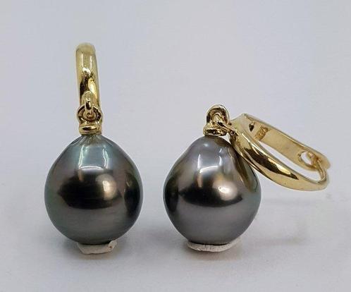 Oorbellen - 14 karaat Geel goud - 9x10mm Tahitiaanse Parel, Sieraden, Tassen en Uiterlijk, Oorbellen