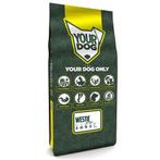 Yourdog Westie Volwassen - 12 KG (401761), Verzenden