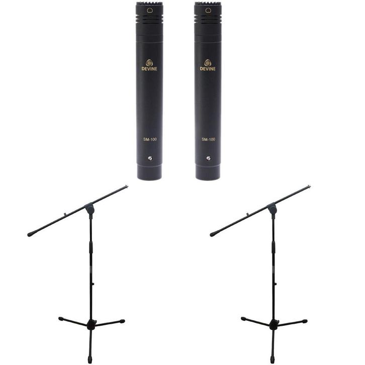 Devine SM-100 stereo + Innox IVA 12 heavy statieven (2 x), Muziek en Instrumenten, Microfoons, Verzenden